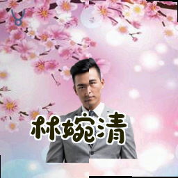 林婉清